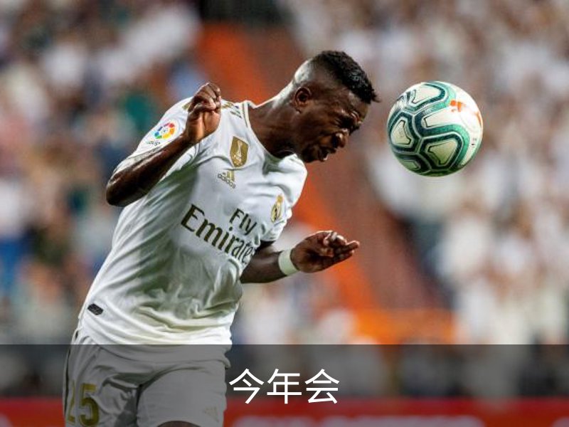 今年会介绍